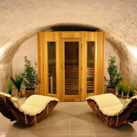 Chalet Bois 6 Personnes Sauna Et Gym Grand-Aigueblanche