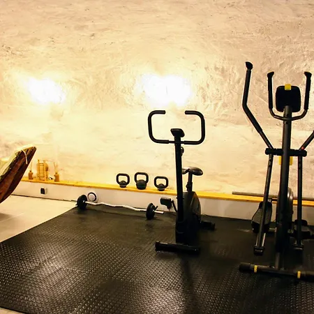 Bois 6 Personnes Sauna Et Gym